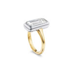 10 Carat Emerald-cut Statement | 14K White Gold | Grand Palais Radiance - Image 2
