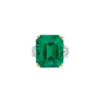 10 Carat Emerald-cut Statement | 14K White Gold | Grand Palais Radiance