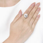 10 Carat Round Brilliant Statement | Type IIa | Brilliant White / D color | FL/IF - Image 5
