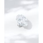 10 Carat Oval Statement | Brilliant White | VS | 14K White Gold | Iconic Presence
