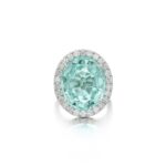 15 Carat Oval Statement | Mixed / Other | 14K White Gold | High Jewellery Supremacy