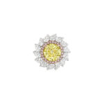 5 Carat Round Brilliant Statement | Fancy Yellow | 14K White Gold