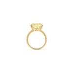 5 Carat Radiant Statement | Fancy Yellow | 14K White Gold | Sunlit Royal Radiance | Heirloom - Image 3