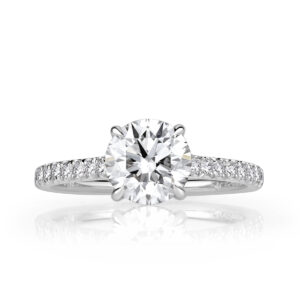 4 Carat Round Brilliant Diamond Ring | Brilliant White | 14K White Gold | Everyday Royalty