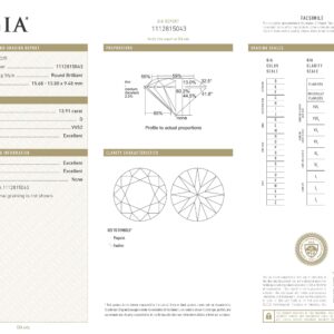 13.91 Carat Round Brilliant Statement | Brilliant White | 14K White Gold | Iconic Presence