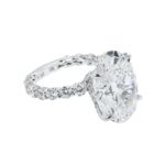 16.23 Carat Oval Diamond Ring | Brilliant White | 18K White Gold | High Jewellery Supremacy