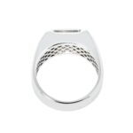 4.36 Carat Emerald-cut Statement | 14K White Gold | Everyday Royalty - Image 5