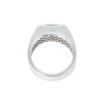 3.05 Carat Princess Statement | Brilliant White | 14K White Gold | A Classic Statement - Image 5